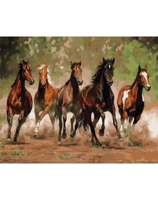 Opakowanie Malowanie po numerach - Stado koni 40x50cm