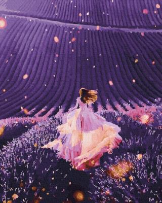 Opakowanie Malowanie po numerach Światło w lawendowym polu