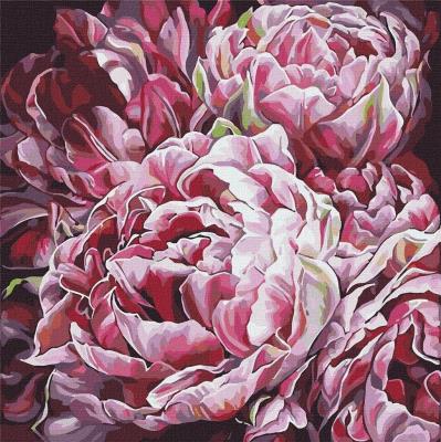 Opakowanie Malowanie po numerach - Szaleństwo kolorów 2 40x40