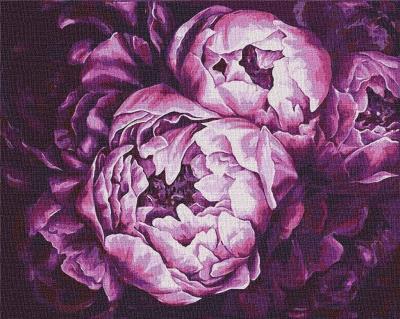 Opakowanie Malowanie po numerach - Szaleństwo kolorów 40x40cm