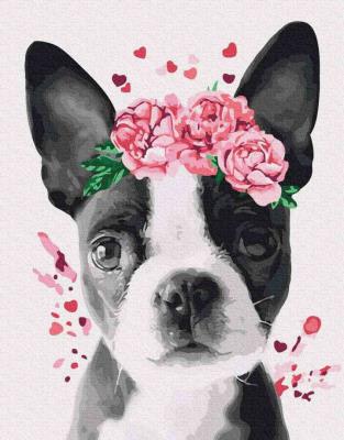 Opakowanie Malowanie po numerach Szczeniak