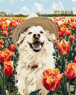 Opakowanie Malowanie po numerach -Szczęśliwy labrador 40x50cm