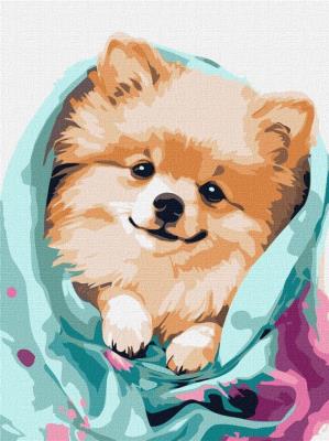 Opakowanie Malowanie po numerach - Szczęśliwy szpic 30x40cm