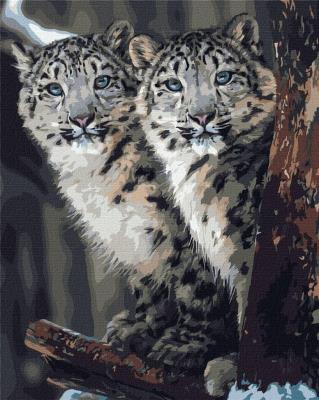 Opakowanie Malowanie po numerach - Tajny nadzór 40x50