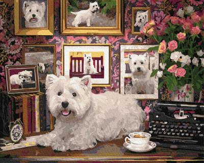 Opakowanie Malowanie po numerach - Ulubiony piesek 40x50cm