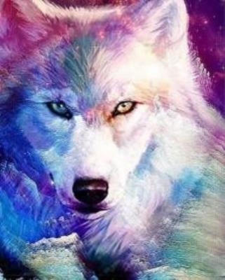 Opakowanie Malowanie po numerach Wilk biały kolorowe cienie