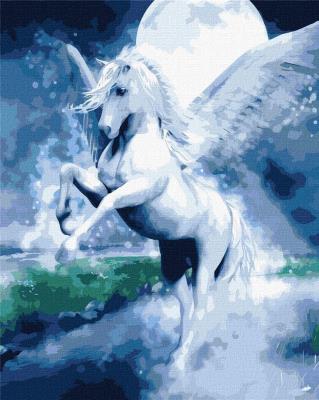 Opakowanie Malowanie po numerach - Wspaniały pegaz 40x50cm