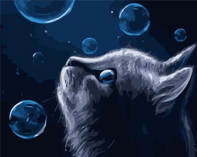 Opakowanie Malowanie po numerach - Zaczarowany kotek 40x50cm