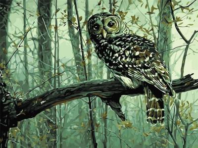 Opakowanie Malowanie po numerach - Zaspana sowa 30x40cm