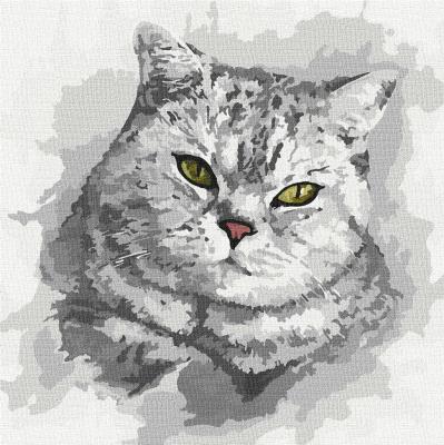 Opakowanie Malowanie po numerach - Zielonookie.. 30x30cm