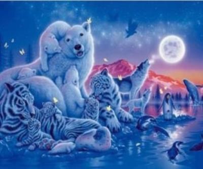 Opakowanie Malowanie po numerach Zwierzęta polarne nocą