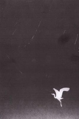 Manowce. Autor: Tomasz Berrached. SmakLiter.pl Okładka książki Manowce