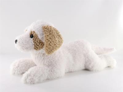 Opakowanie Maskotka pies Hawańczyk 60cm leżący