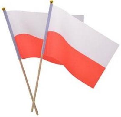 Opakowanie Materiałowa flaga na patyczku (2szt)