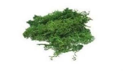 Opakowanie Mech sztuczny ciemnozielony 10g