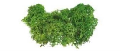 Opakowanie Mech sztuczny jasnozielony 10g