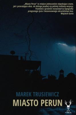 Okładka książki Miasto Perun