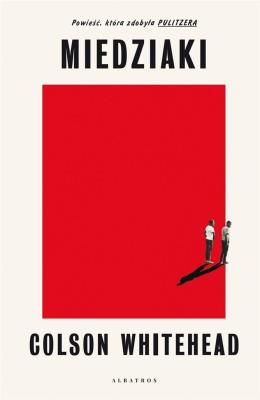 Miedziaki. Autor: Colson Whitehead. SmakLiter.pl Okładka książki Miedziaki