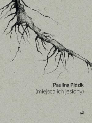(miejsca ich jesiony). Autor: Pidzik Paulina. SmakLiter.pl Okładka książki (miejsca ich jesiony)