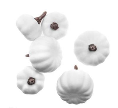 Opakowanie Mini dynie mix 6szt białe