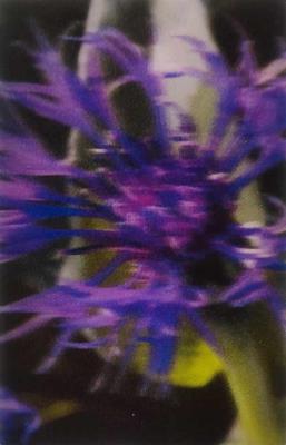 Opakowanie Mini kartka 3D - Chaber