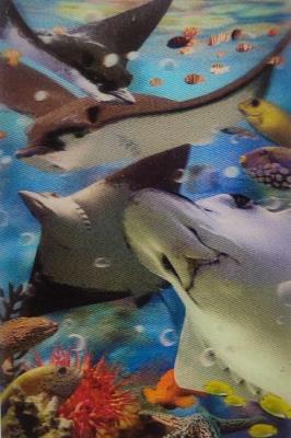 Opakowanie Mini kartka 3D - Płaszczka