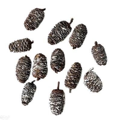 Opakowanie Mini szyszki bielone 12szt