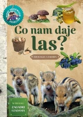 Młody Obserwator Przyrody - Co nam daje las w.2022. Autor: Wojciech Gil. SmakLiter.pl Okładka książki Młody Obserwator Przyrody - Co nam daje las w.2022