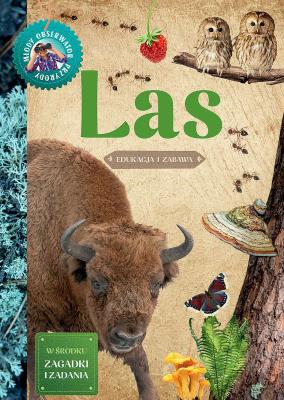 Młody Obserwator Przyrody - Las w.2022. Autor: Będkowska Hanna. SmakLiter.pl Okładka książki Młody Obserwator Przyrody - Las w.2022