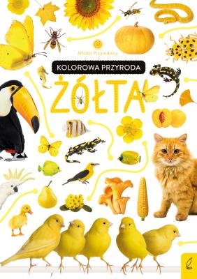 Młodzi przyrodnicy Kolorowa przyroda Żółta. Autor: Patrycja Zarawska. SmakLiter.pl Okładka książki Młodzi przyrodnicy Kolorowa przyroda Żółta