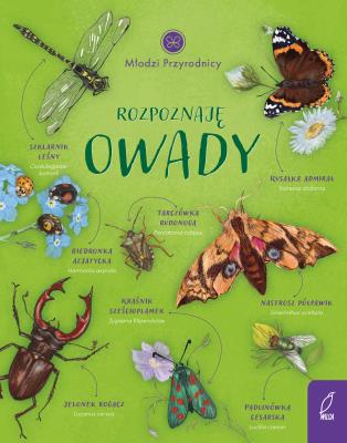 Okładka książki Młodzi przyrodnicy Rozpoznaję owady