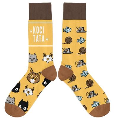 Opakowanie Molom Skarpetki Koci tata 42/46