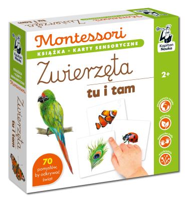 Okładka książki Montessori. Zwierzęta tu i tam. Karty sensoryczne