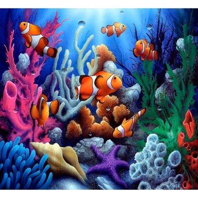 Opakowanie Mozaika diamentowa 5D - Rafa 40x30cm