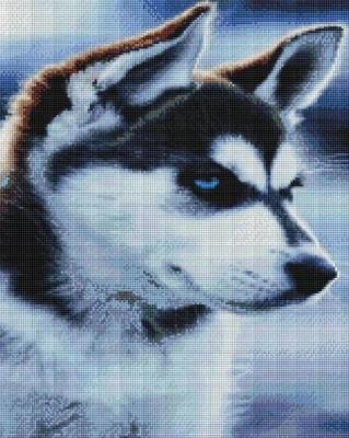 Opakowanie Mozaika diamentowa - Haski 40x50cm