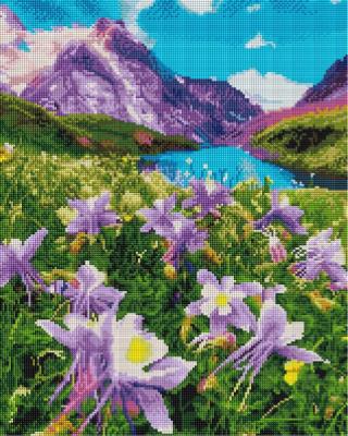 Opakowanie Mozaika diamentowa - Kwiaty górskie 40x50cm
