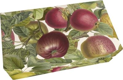 Opakowanie Mydło 200g zapach jabłkowy Jabłoń