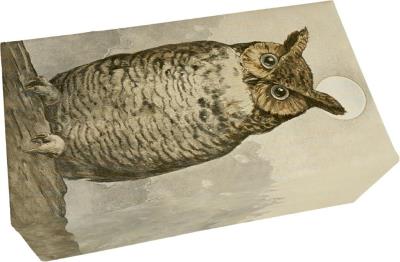 Opakowanie Mydło 200g zapach leśny Sowa