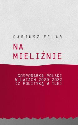 Okładka książki Na mieliźnie. Gospodarka Polski w latach 2020-2022