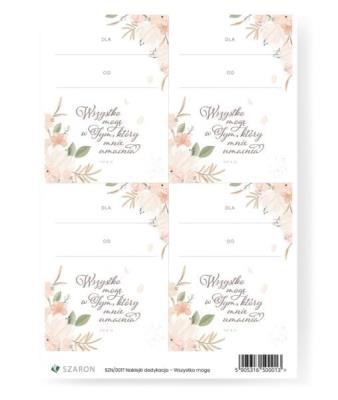 Naklejki dedykacyjne - Wszystko mogę. Wydawca: Szaron. SmakLiter.pl Opakowanie Naklejki dedykacyjne - Wszystko mogę