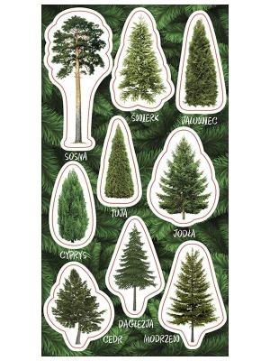 Opakowanie Naklejki Drzewa iglaste