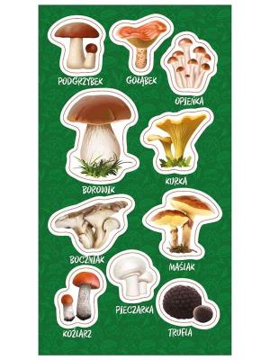 Opakowanie Naklejki Grzyby jadalne