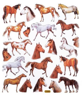 Opakowanie Naklejki konie 23szt