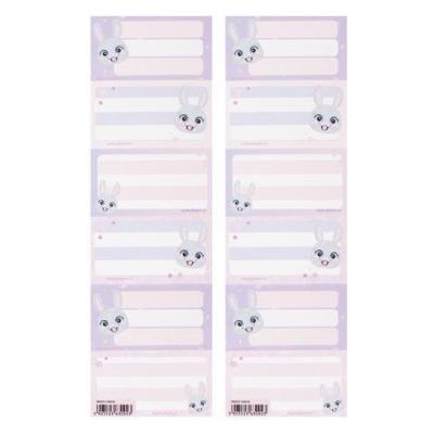 Opakowanie Naklejki na zeszyt Królik (25szt)