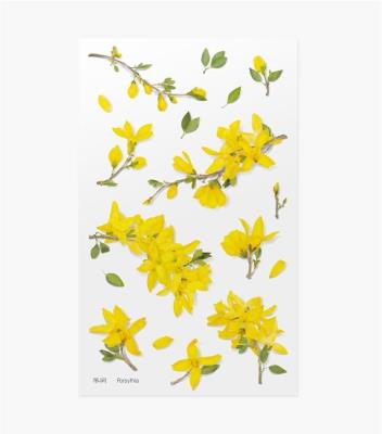 Opakowanie Naklejki ozdobne kwiaty - Forsycja