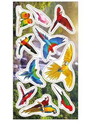 Opakowanie Naklejki Papugi