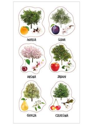 Opakowanie Naklejki Polski sad