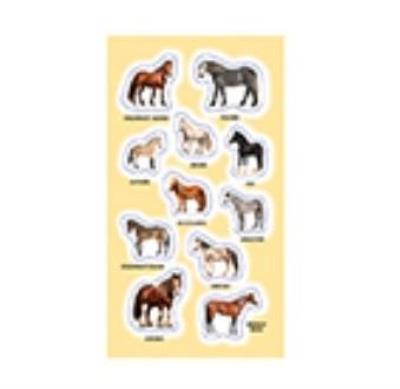 Opakowanie Naklejki Rasy koni