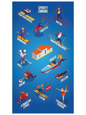 Opakowanie Naklejki Sporty zimowe