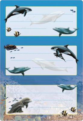Opakowanie Naklejki szkolne - Delfiny 6szt